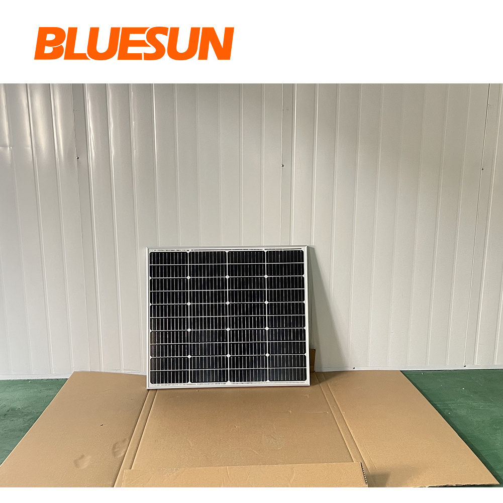 Bluesun 12v mono 5w 10w 15w 20w 25w 30w solar panel 12v 24V 90W 100W for battery charge outdoor use