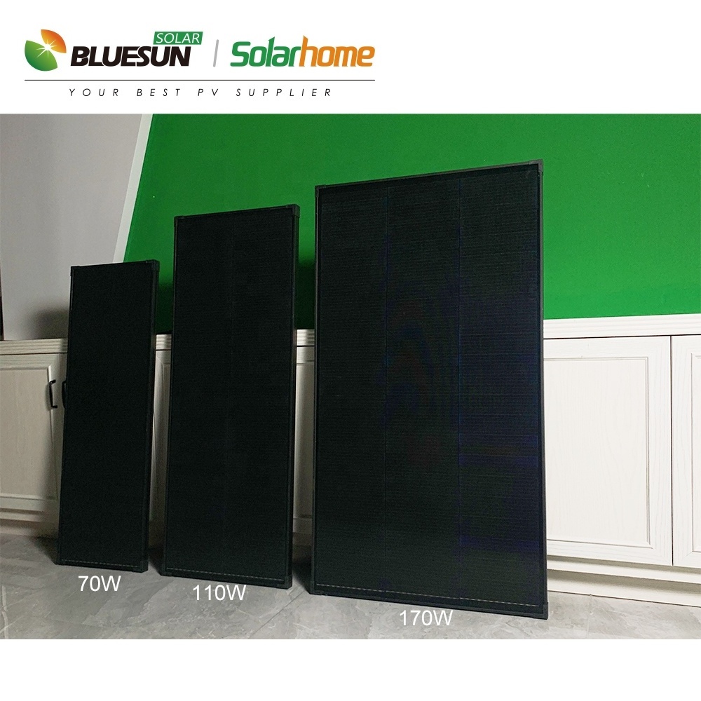 Bluesun China solar panel mini 10w 15w 20w 30w 40w 50w 60w 70w 80w 90 watt 120w mini solar panel on sale