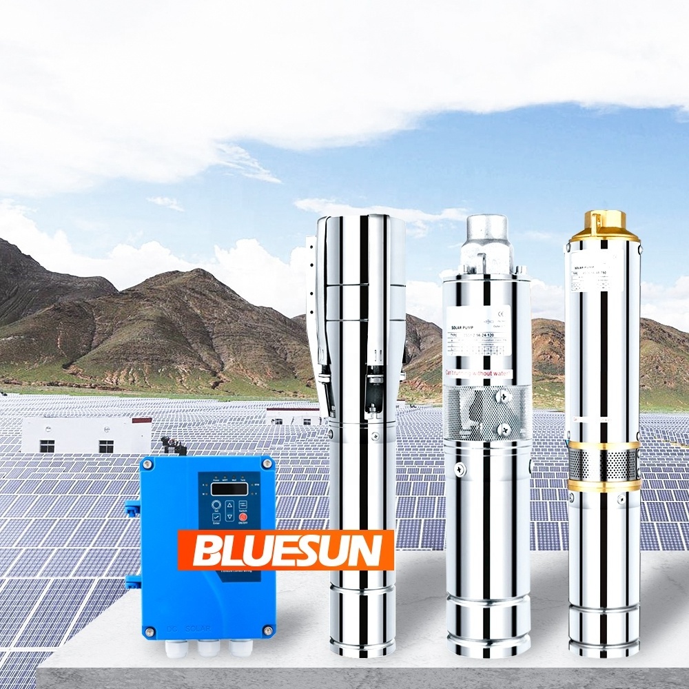 Bluesun Hot Sale 125M Solar Water Pump 110V 1500W DC Solar Water Pump System For Agriculture Irrigation