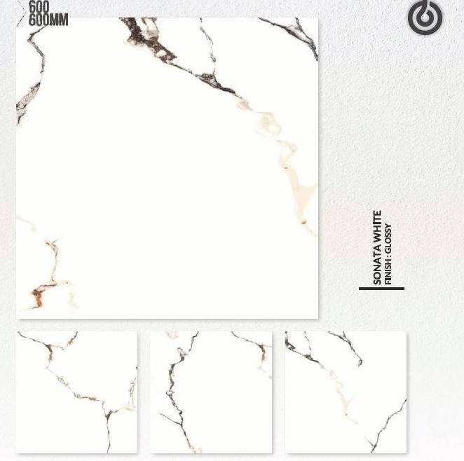 600x600 mm High Quality Polished  Antiskid Durable 9mm thickness floor porcelain tiles India Factory Direct at lower rates