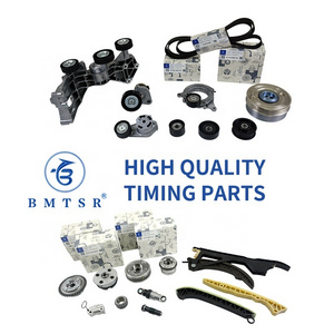 High Quality Guangzhou Factory Price BMTSR Brand Timing Parts Set for OM651 M271 M272 M274 M276 N52 N53 N54 M54