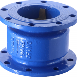 BM H41X PN16 Flange Silent Check Valve Dn50-dn300/2in-12in QT450 Flanged Gate Valve Ductile Iron Water General 3 Years Manual