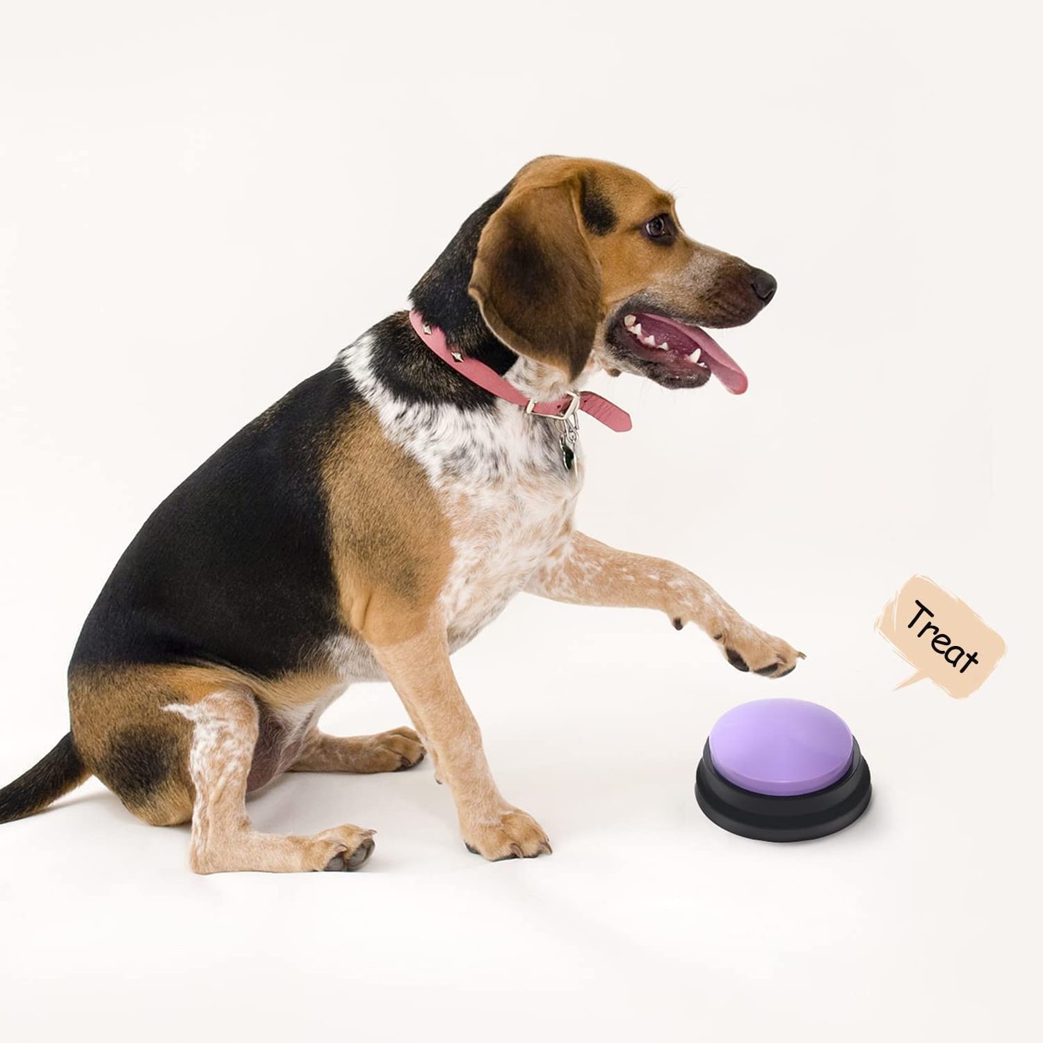 Voice Recording Button Dog Buttons for Communication Pet Training Buzzer 30 Second Record & Playback Funny Gift