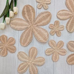 Rattan Wall Flower Nursery Wall Decor Boho Wall Art Daisy Decor Charger Plate Hanging Baskets