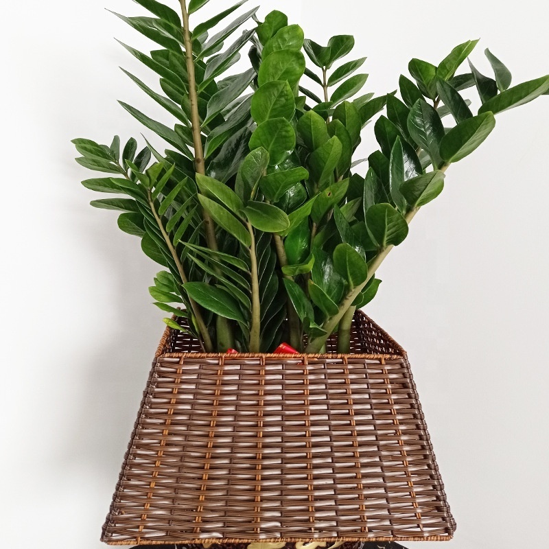 Wholesale Handmade Plastic Rattan Woven Basket Christmas Tree Decoration Supplies-Tree Skirt Bottom Seat Cover and Tree Ring