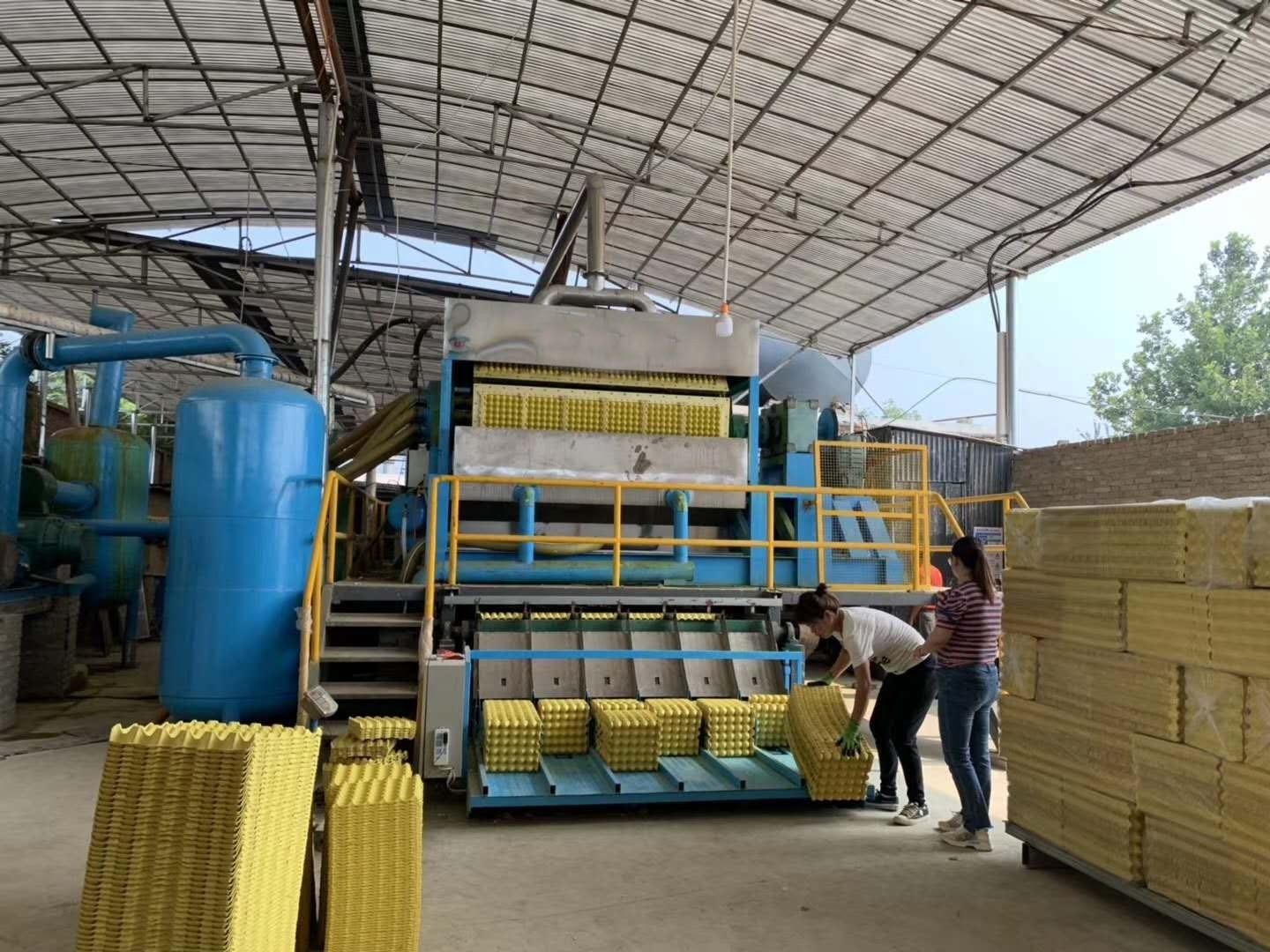 Automatic Disposable Pulp Molding Large Capacity  Paper Egg Tray Making Machine