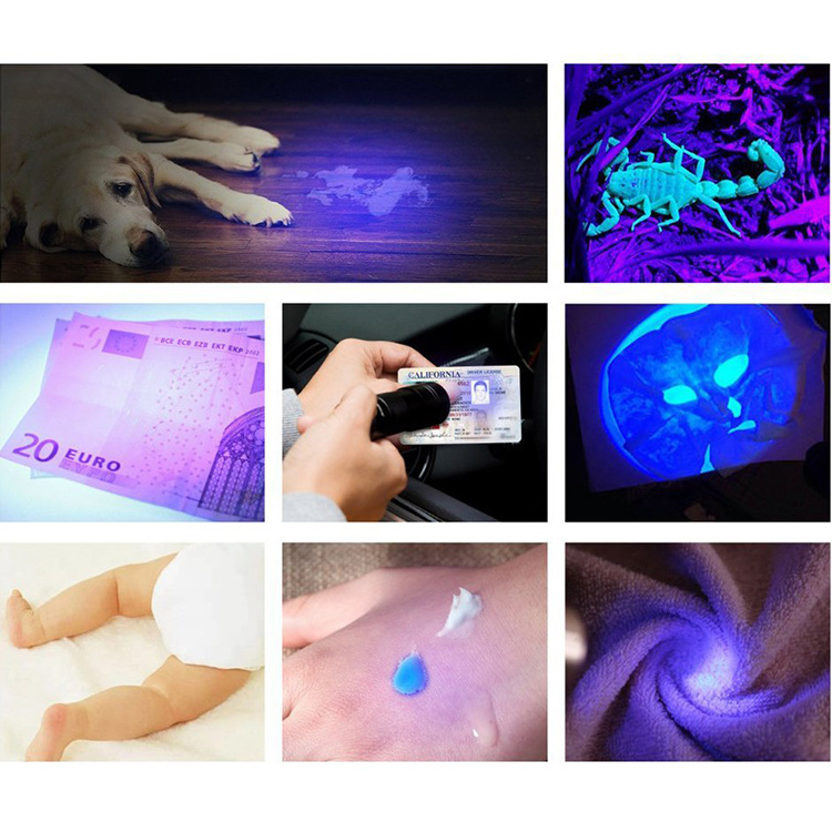 395nm Purple Light Pet Urine Detector Metal Ultra Violet 12 Led UV Flashlight