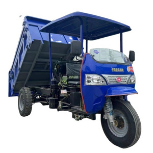 Small cheap adult diesel tricycle , dump diesel trike price