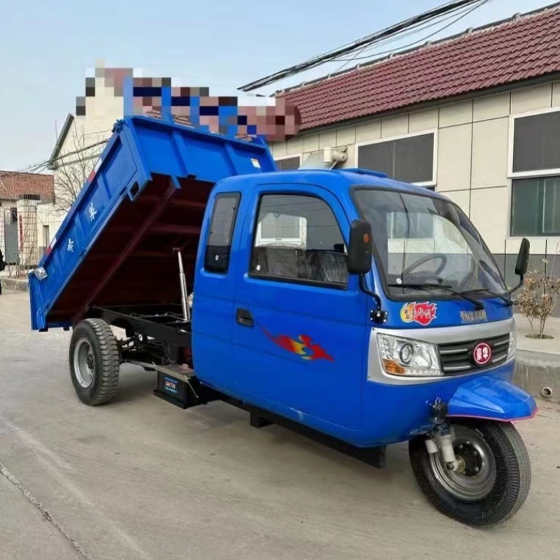 gasoline tricycle Petrol diesel cargo tricycle three wheel motorcycles for sale