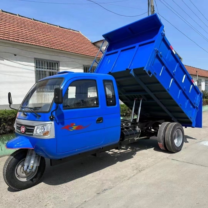 Algeria Cargo Vehicle Tricycle Gasoline Engine Cargo Tricycle Moto Cargo