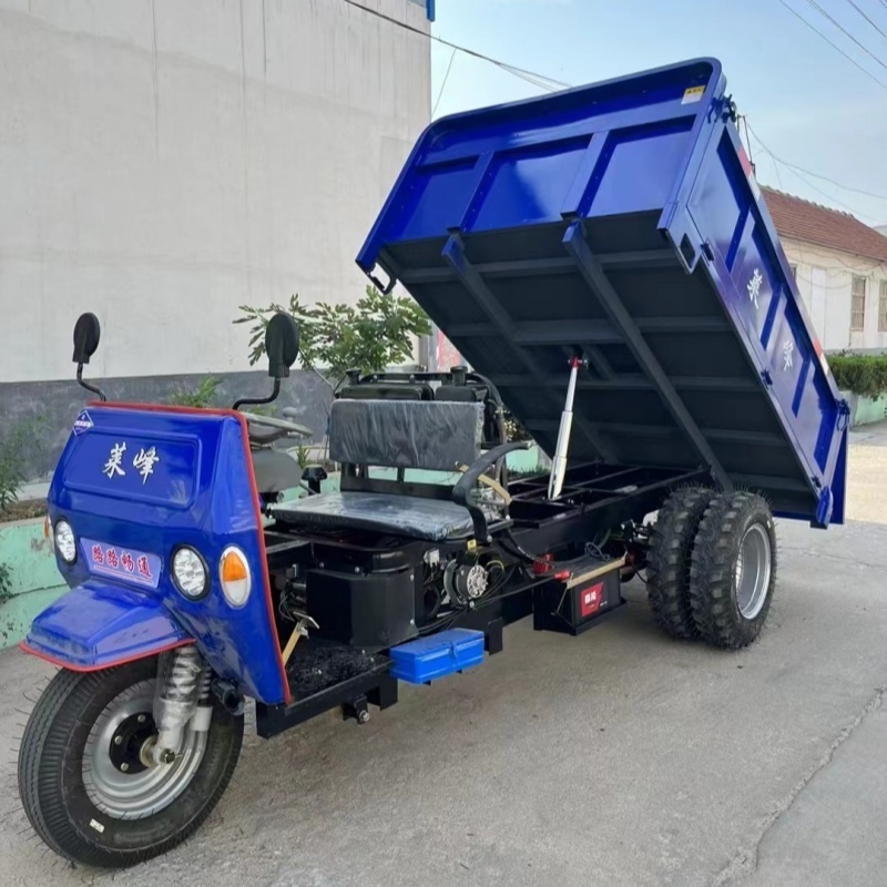 Hot Sale Cargo Tricycle Three Wheel Motorcycle Energy-saving Passenger Cabin Air Cooling Trike for Adults