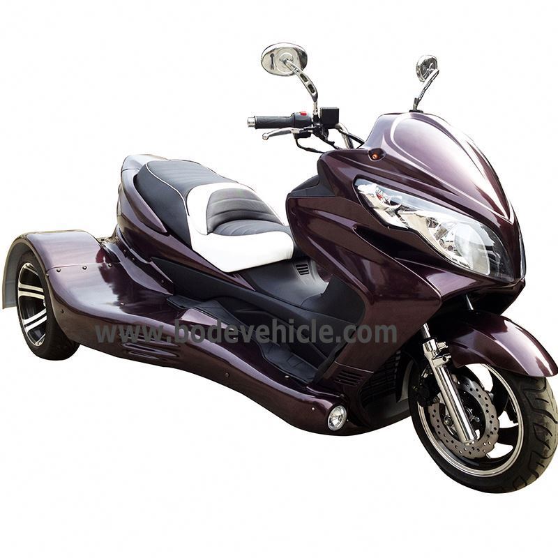 Gas 3 Wheel Motorcycle Trike Scooter with CVT Clutch Automatic Gears