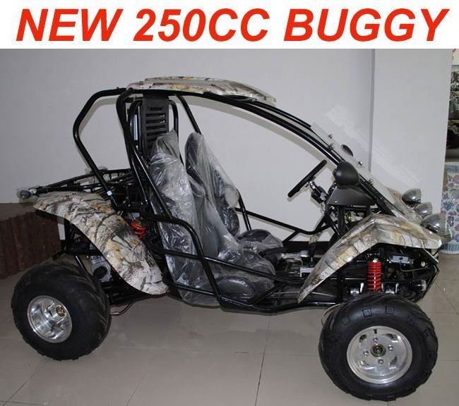 NEW 250CC Dune Buggy Automatic with Reverse(MC-441)