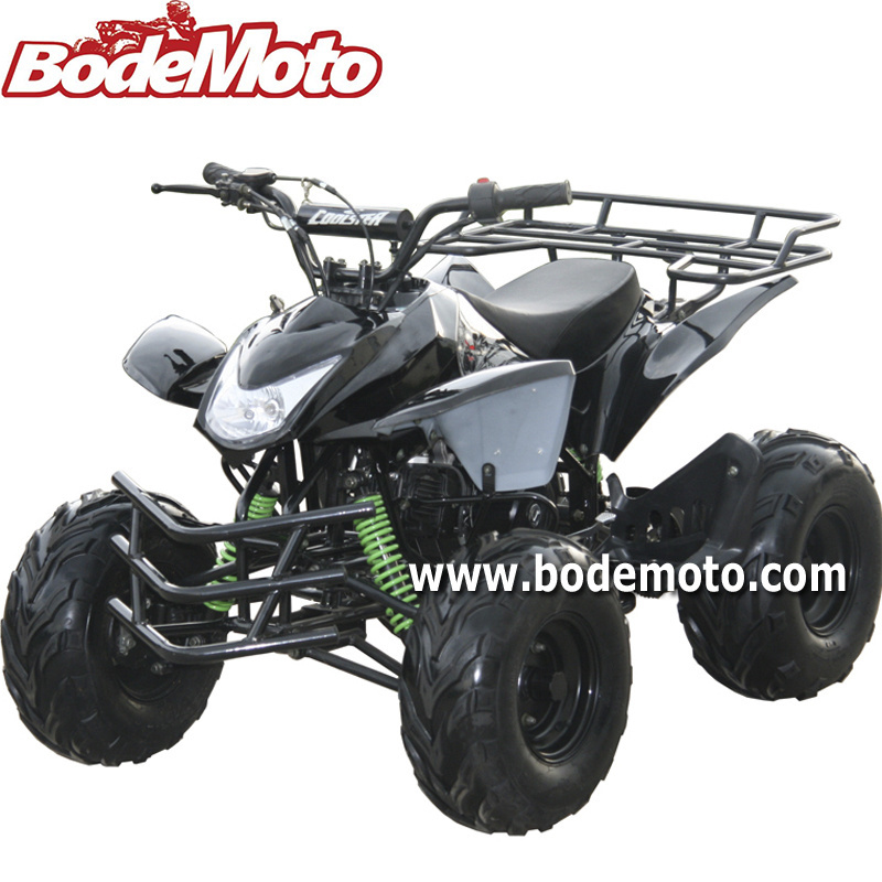 Hot New EEC 110CC Quad Bike ATV