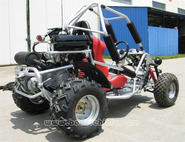 250CC Gas Powered Go karts (MC-462)