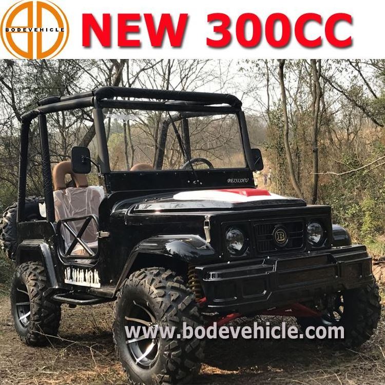 Gas Powered Buggy 250cc Spider Utv