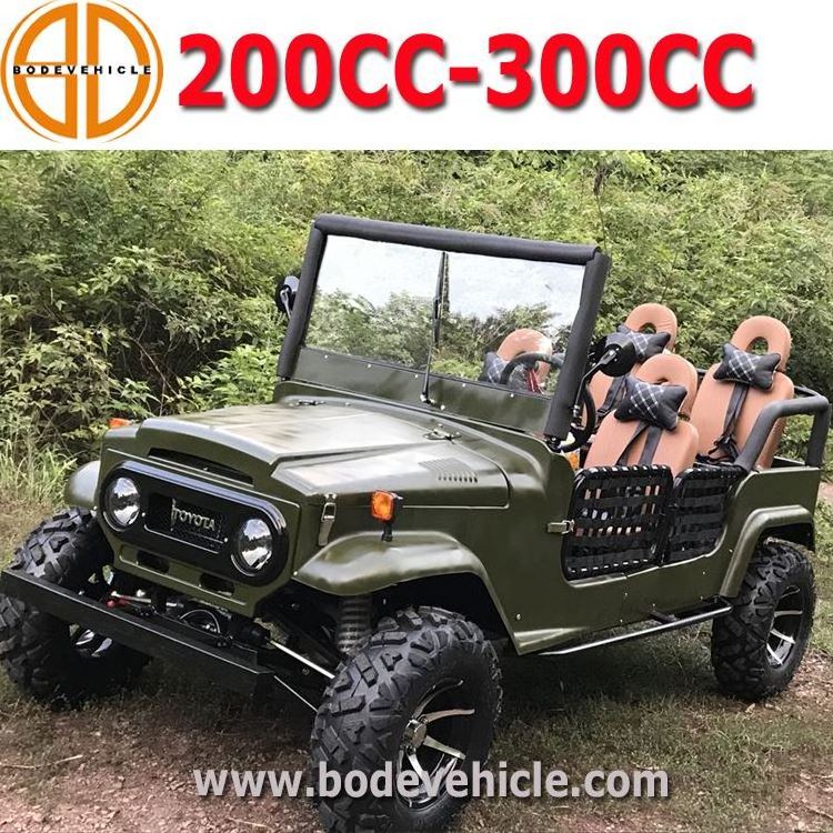 Gas Powered Buggy 250cc Spider Utv