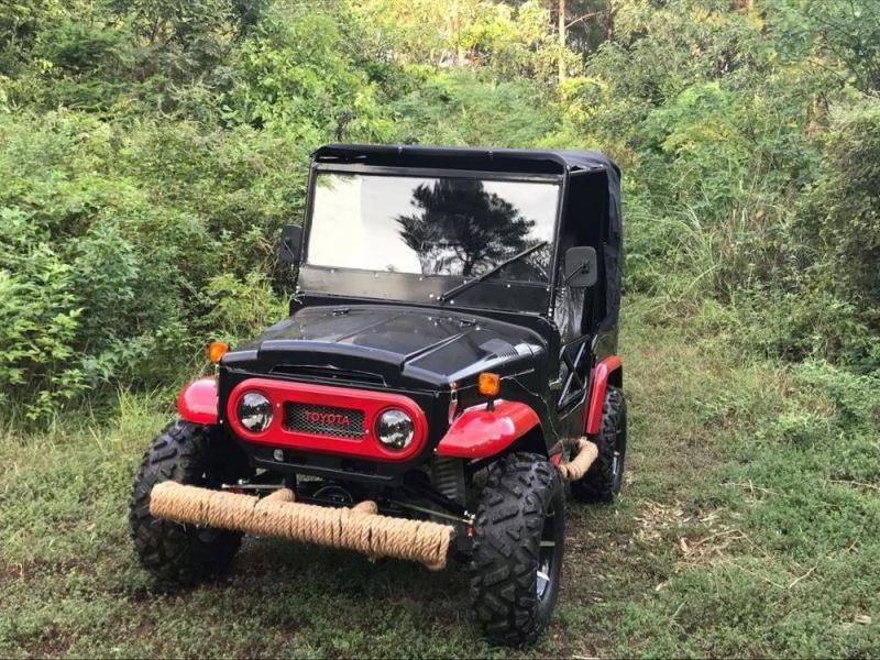 Newest 300cc 2 seat willys jeep UTV for Adult(MC-432)