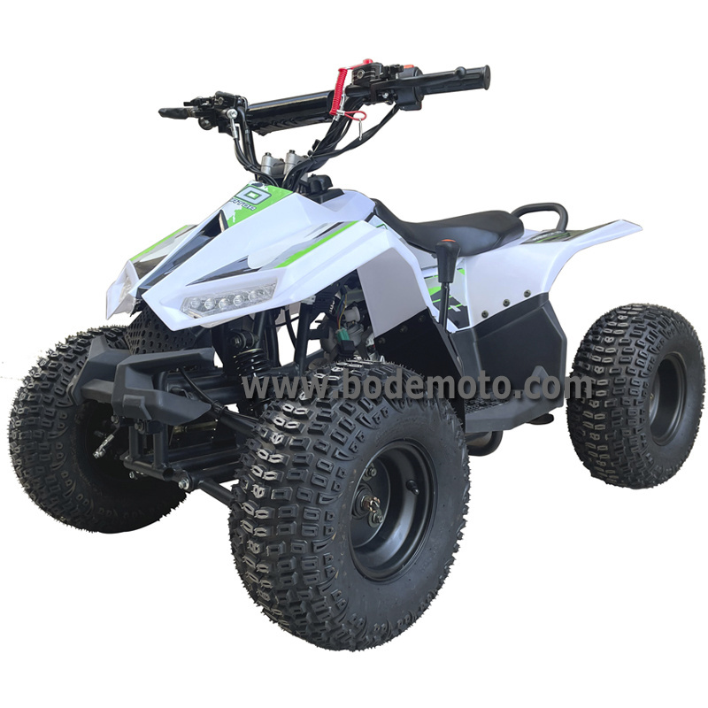 110cc ATV Mini Quad Automatic ATV Motorcycle Chain Drive ATV Motos 4-Stroke Offroad Quad