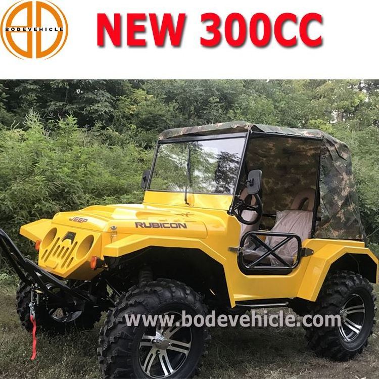 Gas Powered Buggy 250cc Spider Utv