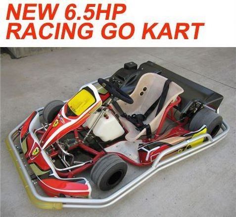 200CC 6.5HP RACING GO KART(MC-491)