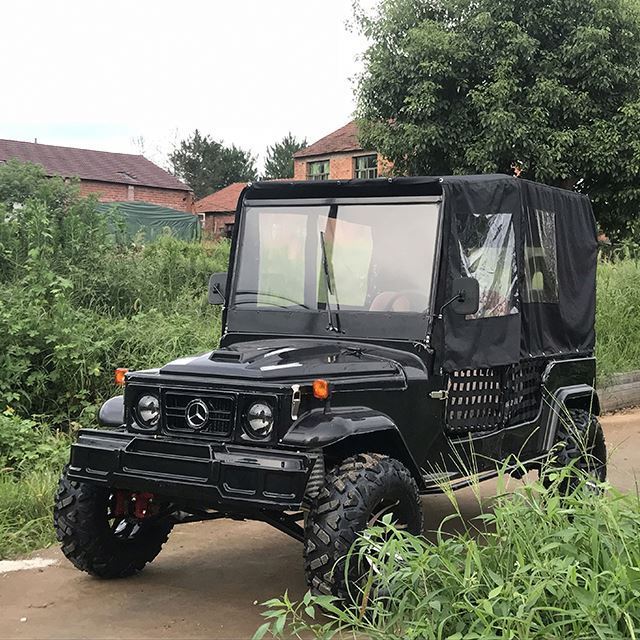 Newest Professional Beach Car 300cc Dune Buggy for 4 seats  (MC-431)