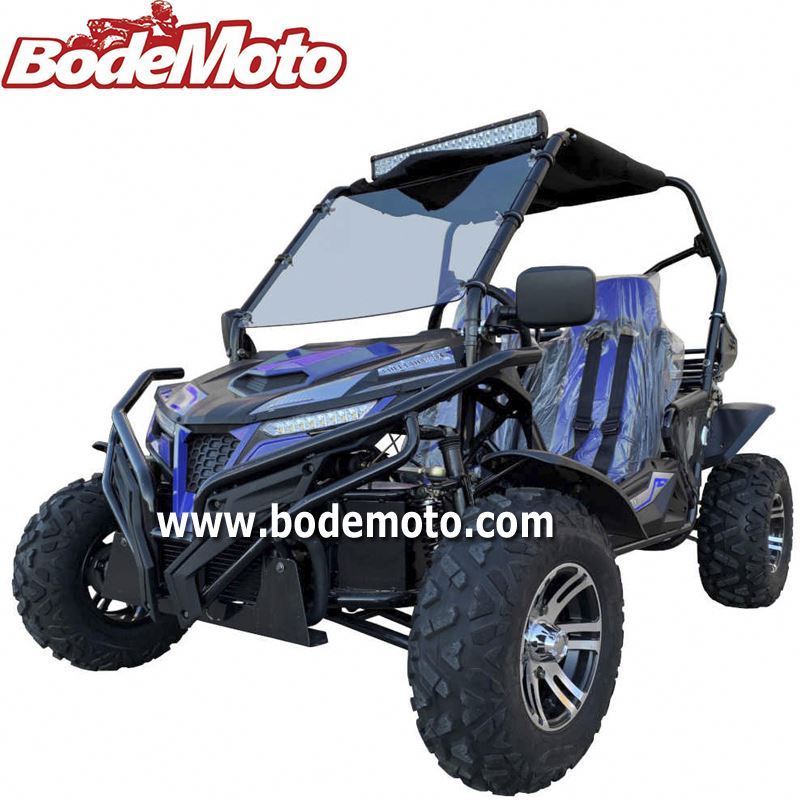 Bode New CVT Electric Dune Buggy Street Legal