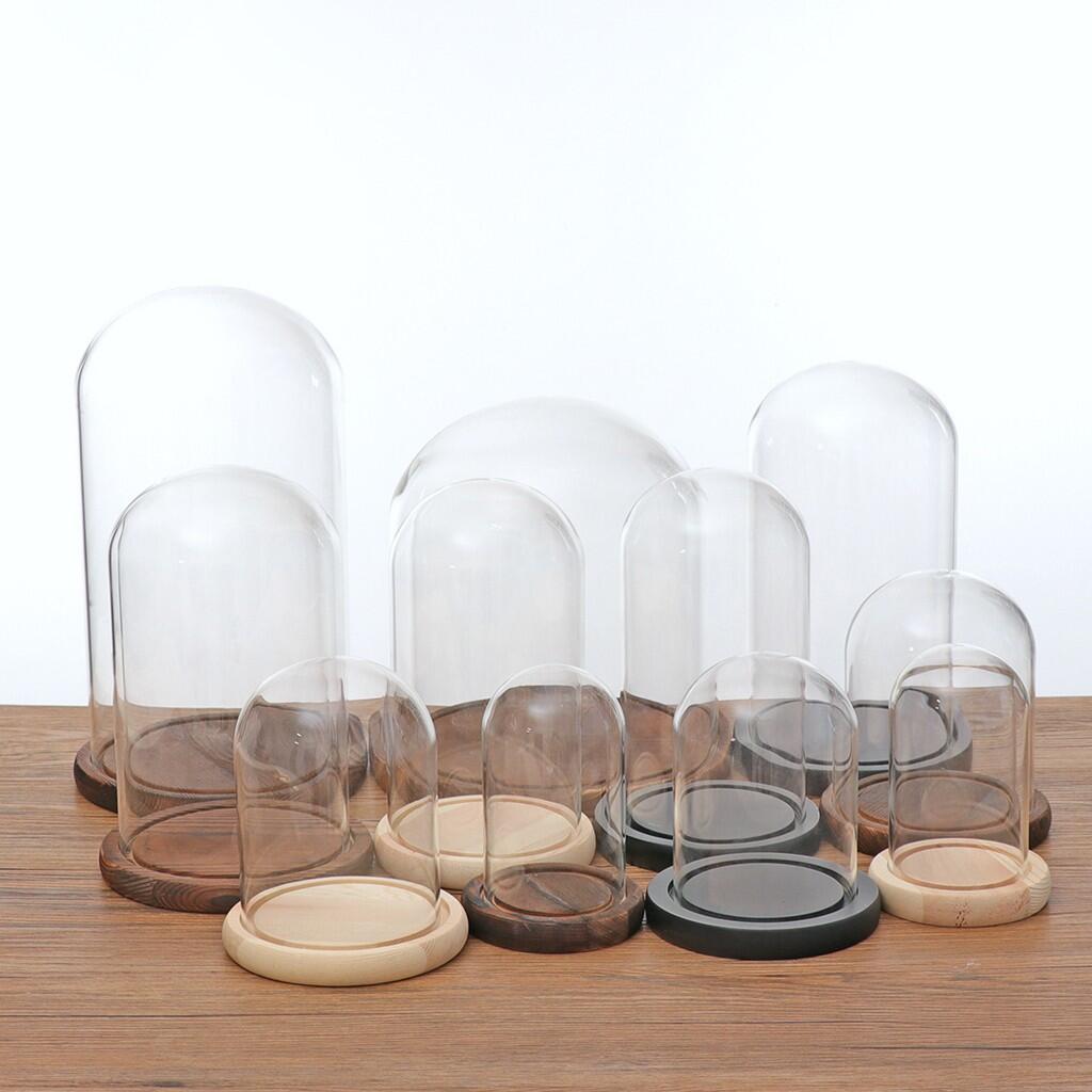 Diameter 6 inch clear glass cloche globe display dome with wooden base