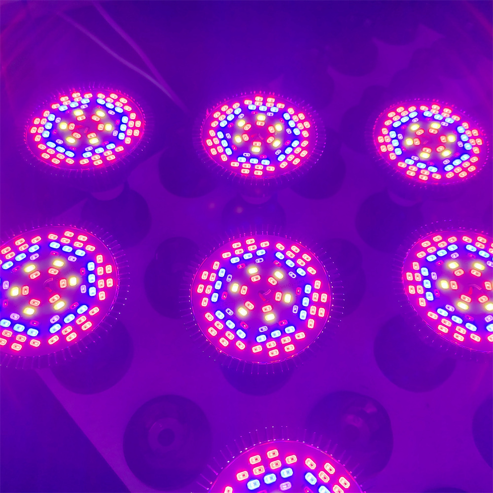 good price fruit flower par30 plant led grow UV IR led E27 bulb par30 e26 grow light 10w full spectrum 50w led grow  light bulb