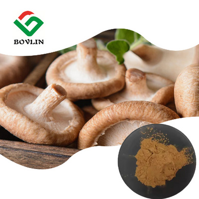 High Quality Natural Plant Shiitake Mushroom Extract Powder 30% Polysaccharide