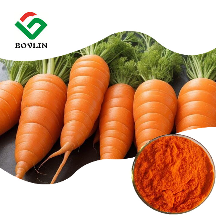 Bulk Price Carrot Extract Pure Natural 98% Beta Carotene