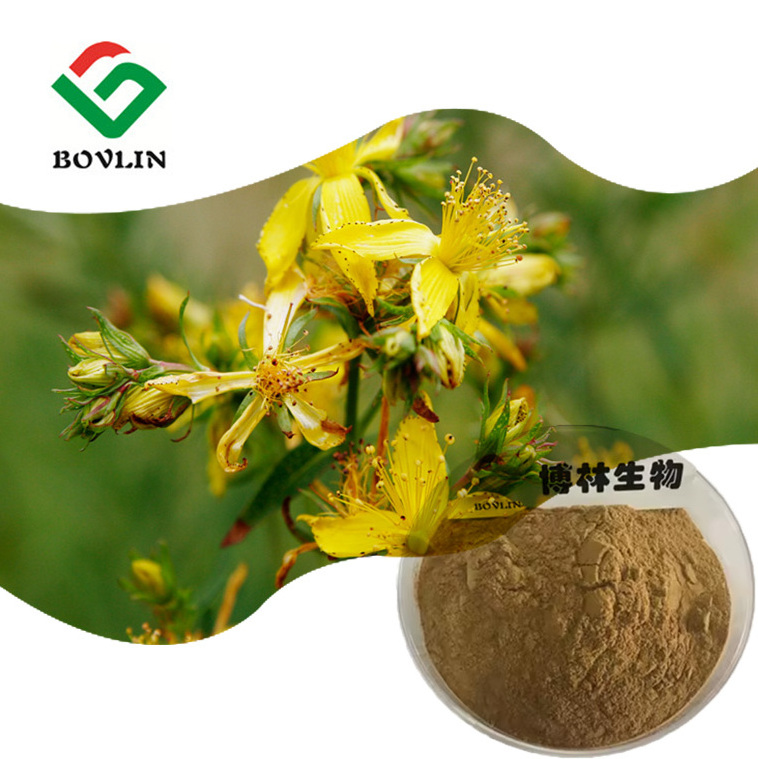 Bohong Supply Hypericum Perforatum Extract 0.3% Hypericin Powder