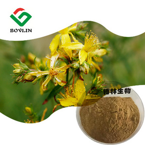 Bohong Supply Hypericum Perforatum Extract 0.3% Hypericin Powder