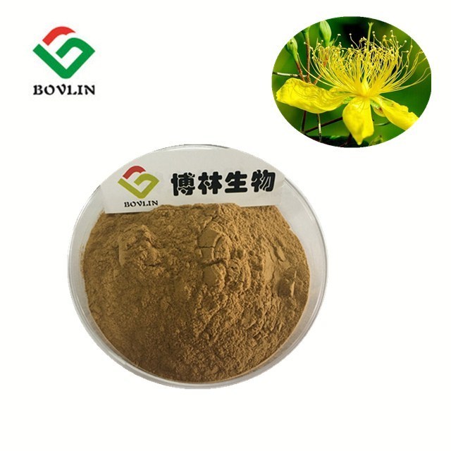 Bohong Supply Hypericum Perforatum Extract 0.3% Hypericin Powder