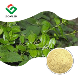 High Quality Kava Root Extract 30% Kavalactone Kava Extract