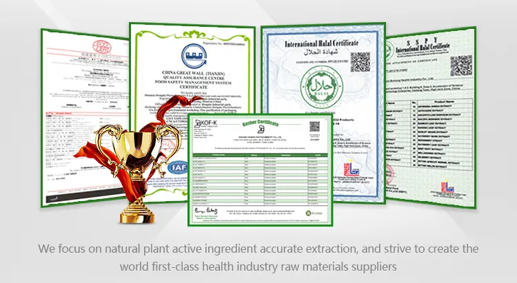 High Quality Kava Root Extract 30% Kavalactone Kava Extract