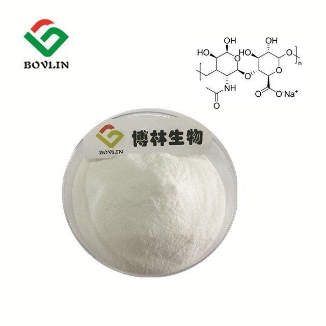 Wholesale Price Bulk Food Grade Supplements Cas 9067-32-7 Hyaluronic Acid Sodium Salt HA Sodium Hyaluronate Powder