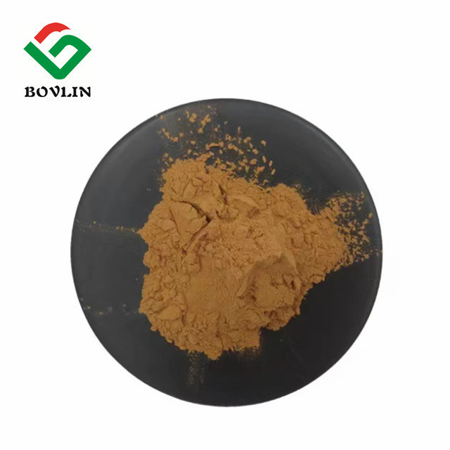 High Quality Natural Plant Shiitake Mushroom Extract Powder 30% Polysaccharide