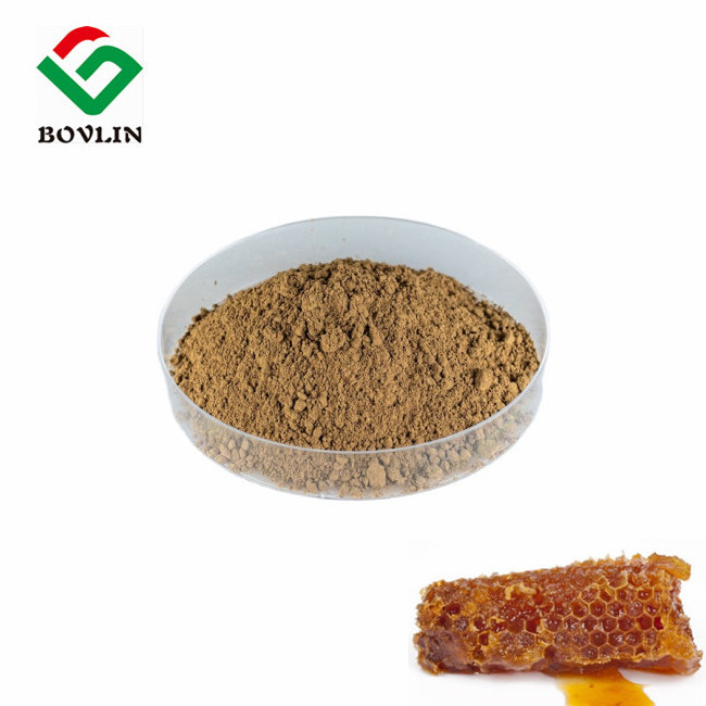 Best Price Organic Bee Propolis Extract Powder Pure Propolis Powder