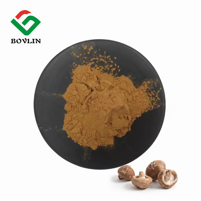 High Quality Natural Plant Shiitake Mushroom Extract Powder 30% Polysaccharide