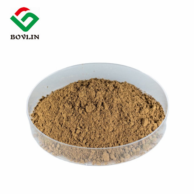 Best Price Organic Bee Propolis Extract Powder Pure Propolis Powder