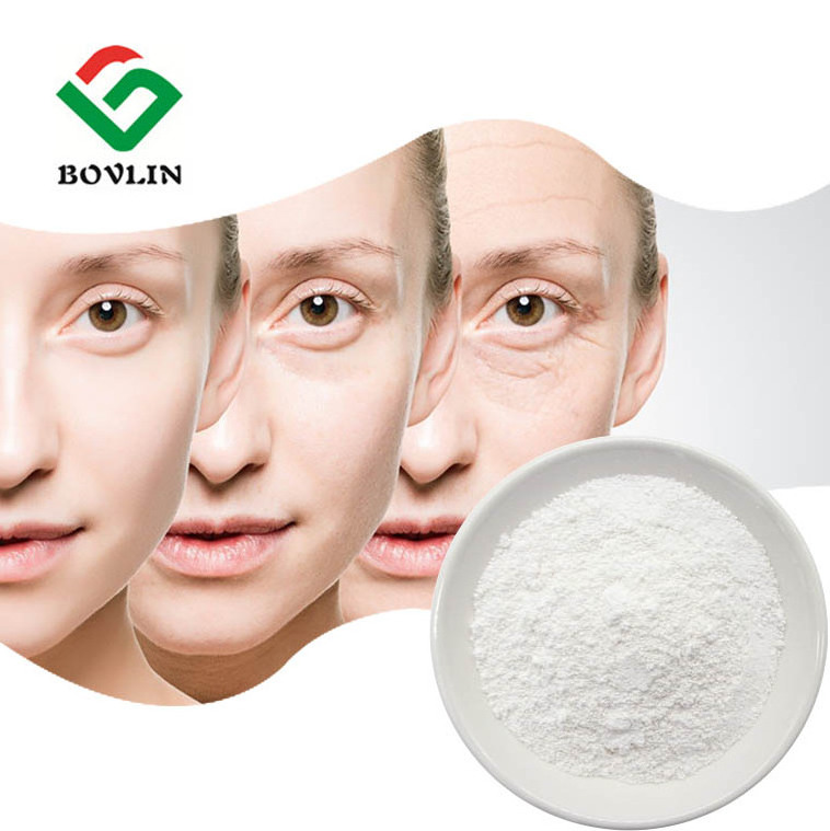 Wholesale Price Bulk Food Grade Supplements Cas 9067-32-7 Hyaluronic Acid Sodium Salt HA Sodium Hyaluronate Powder