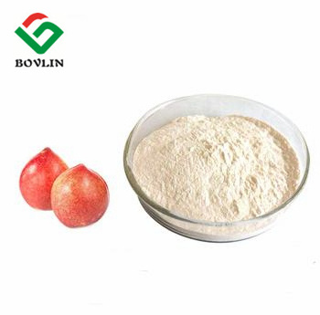 Honey Peach Juice Powder Peach Powder Drink Mix Peach Powder