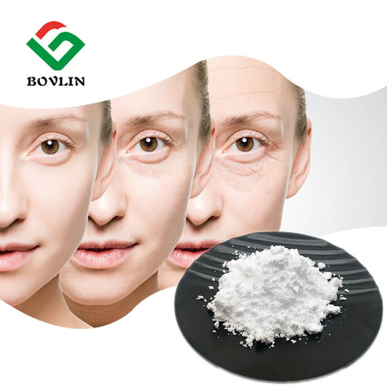 Wholesale Price Bulk Food Grade Supplements Cas 9067-32-7 Hyaluronic Acid Sodium Salt HA Sodium Hyaluronate Powder