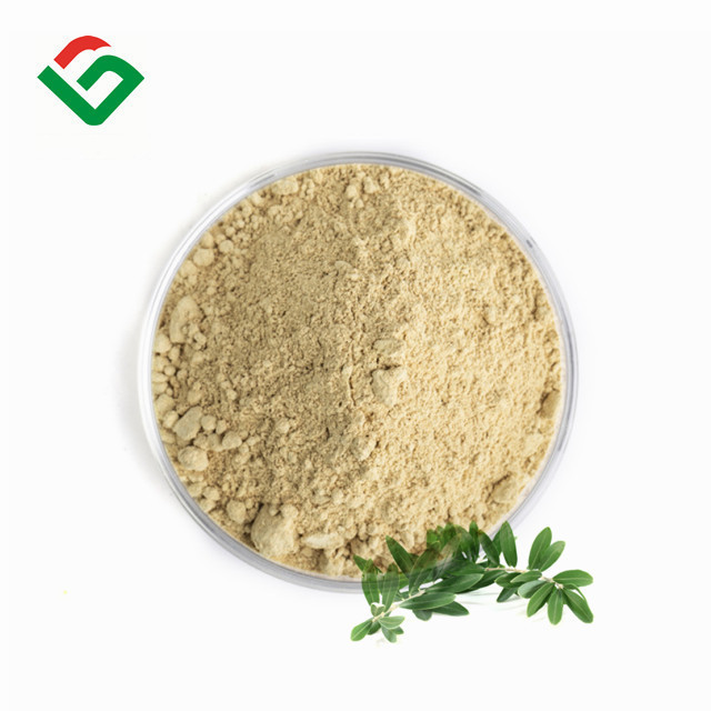 Best Price Olive Leaf Extract Oleanolic Acid Powder Maslinic Acid