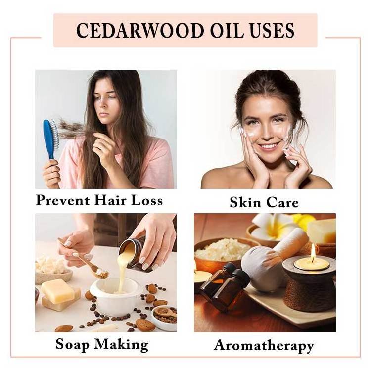 All-Natural Cedarwood Essential Oil Sale At Bulk Price - Cedarwood Essential Oil For Hair At Best Price VedaOils