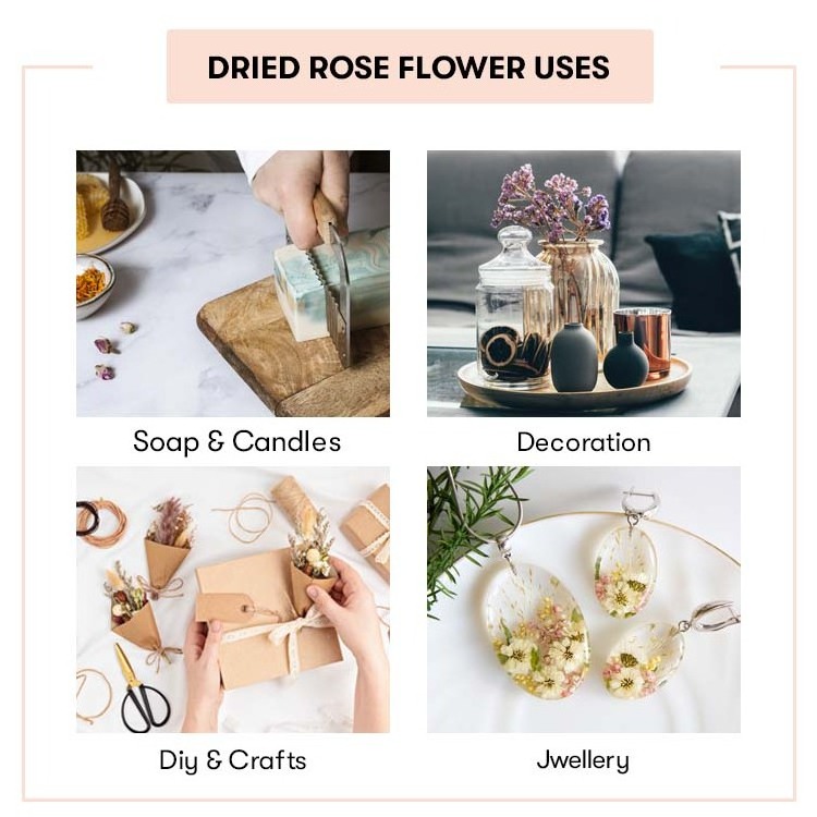 Dried Rose Flower | Buy Wholesale Dry Rose Flower At Best Price, Organic Rose Tea, Bulk Dried Rose Petals Flower