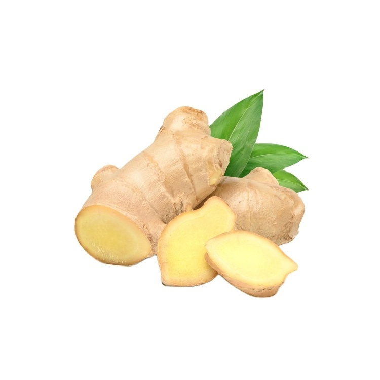 Ginger Flavour Essence | Get 100% Pure Ginger Flavour Oil At Bulk Price, Food Grade Essence Ginger Essence Edible Oil