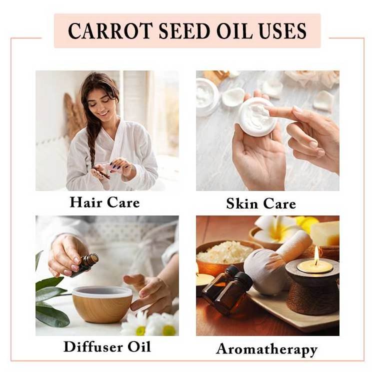 All-Natural 100% Pure Skin Lightening Carrot Seed Oil For Body Massage Oil In Wholesale At Bulk Price