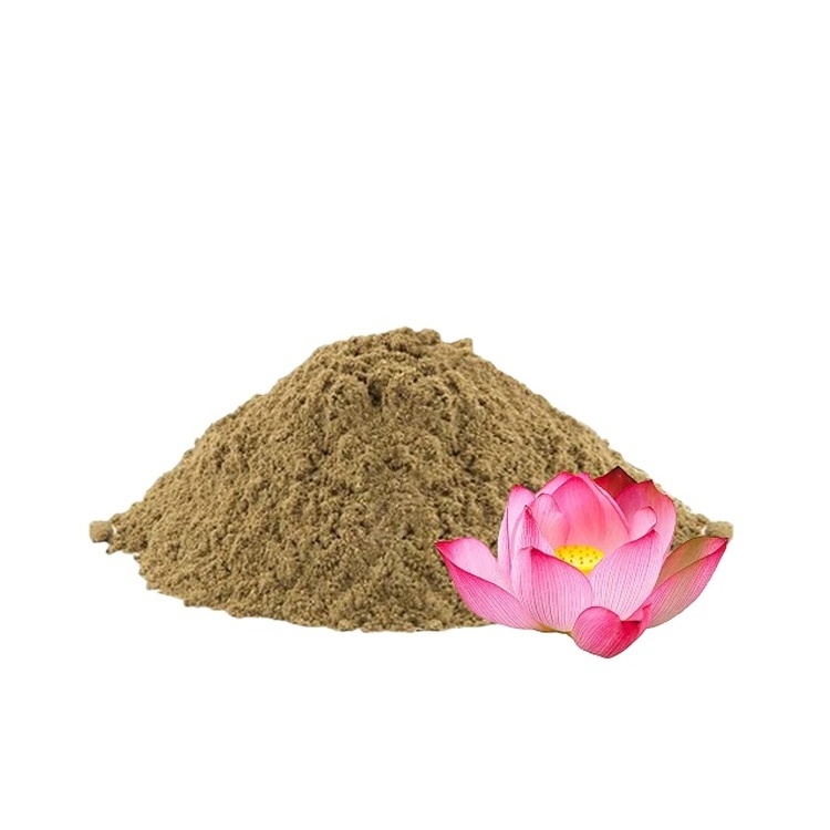 Pure Lotus Powder | 100% Water soluble Lotus Seed Extract Powder | Natural Extract Snow Lotus Fruit